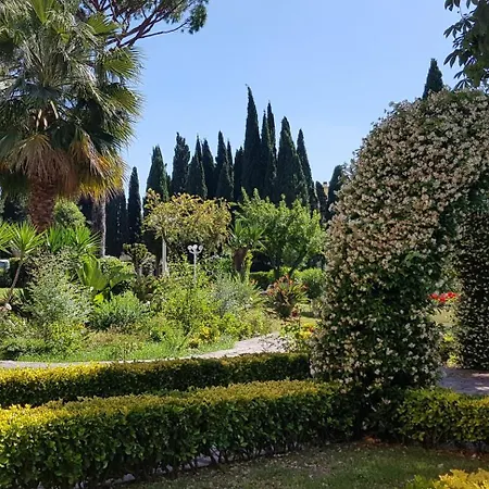 Oasis