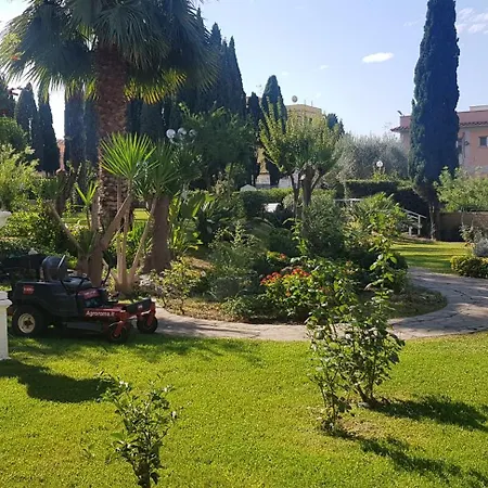 Oasis