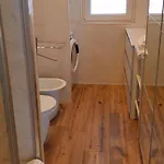 Oasis *