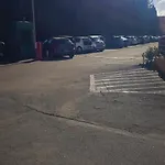 Oasis *