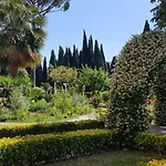 Oasis