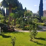 Oasis