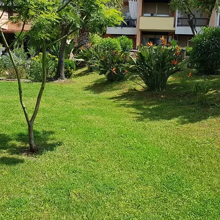 Oasis *
